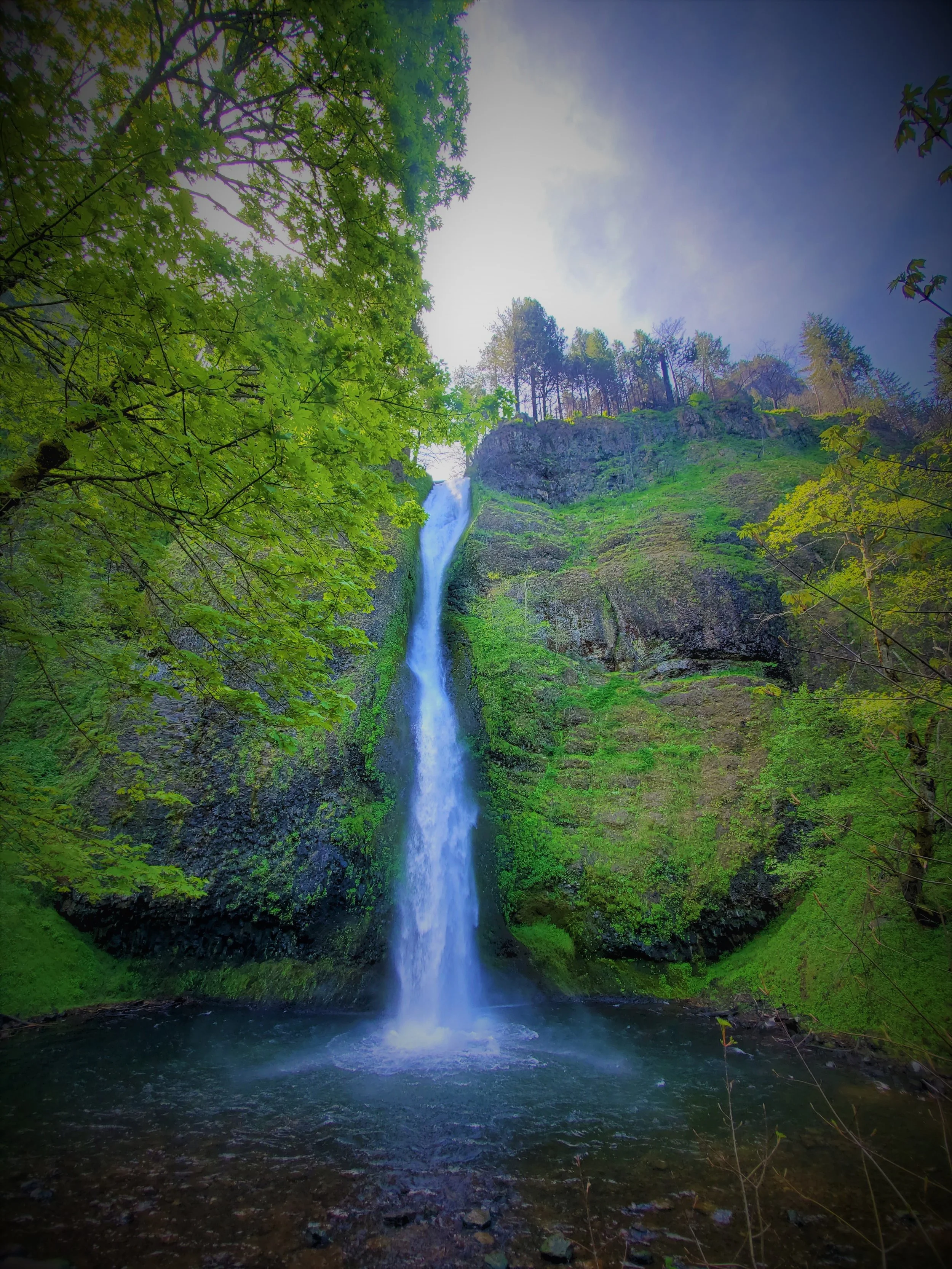 Half Day Columbia River Gorge Waterfalls Tour — Infinite Oregon Tours